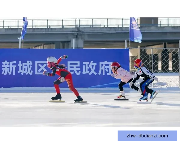 滑冰排名竞技风云：冰上舞者荣耀时刻