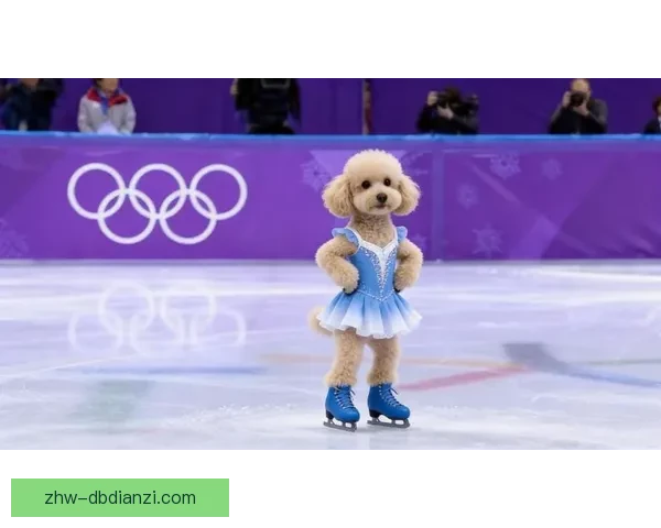 精彩滑冰直播，冰上风云再现