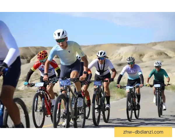 骑行终极挑战：全球自行车巡回赛探秘